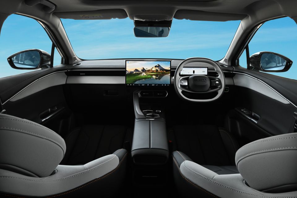 Black/Light Grey Interior